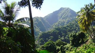 Grand Trail de la Dominique: il reste des places...