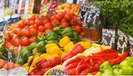 Agences digitales, freelances : comment gagner des marchés publics