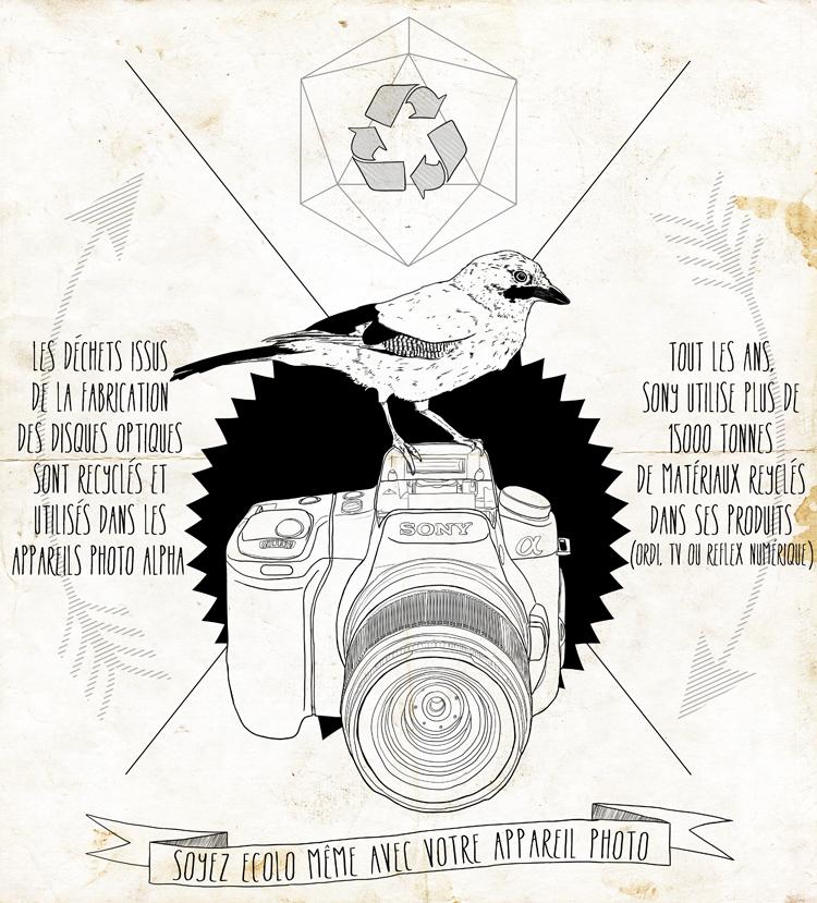 sony-reflexcamera-greenstyle1