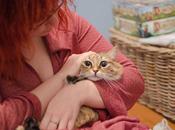 Dédicace Metz samedi (?).