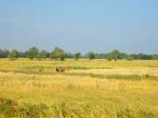 saison froide retour