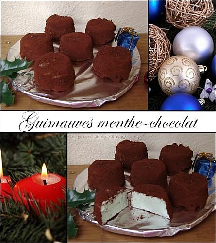 Guimauves-menthe-chocolat.jpg