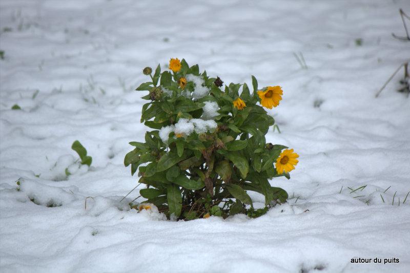 Bon hier matin pour moi il était évident que c'était ains...