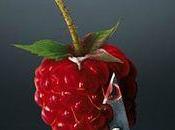 Clairvoyance Maison l'Ombre Amélie Sarn