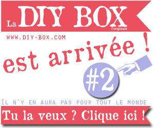 300-250-diy-box-2[1]