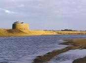 Martello Tower Piercy Company Suffolk, Royaume-Uni Architecture