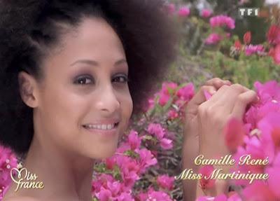 Miss France 2013 : revivez les meilleurs moments de la cérémonie (2/2)