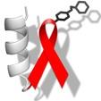 SIDA: Le gel virucide français qui piège et trompe le VIH – CNRS et PLoS Pathogens