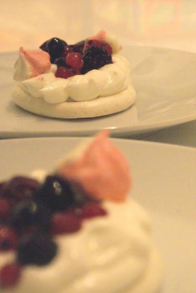 duo pavlova