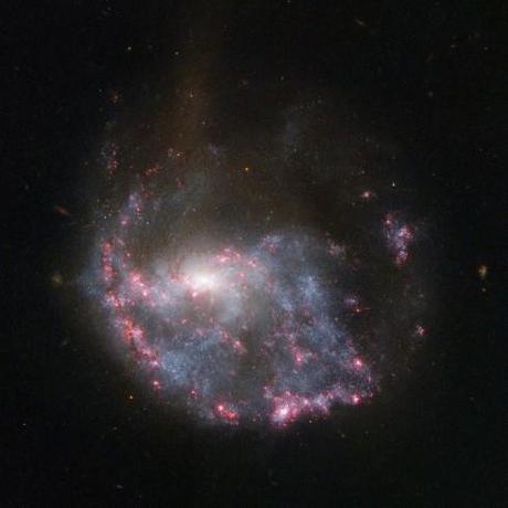 NGC 922 photo Hubble