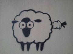 mouton.jpg