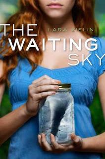 The Waiting Sky - Lara Zielin  {En quelques mots}