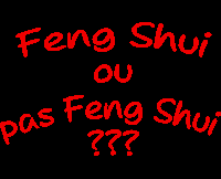 Une formation Feng Shui géniale... Me voilà maintenant Experte Feng Shui !