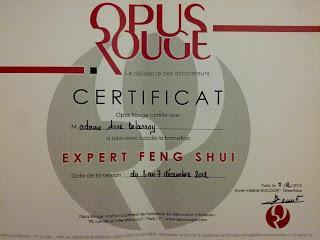 Une formation Feng Shui géniale... Me voilà maintenant Experte Feng Shui !