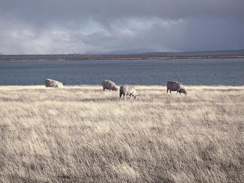 Galaxies and Hurricanes