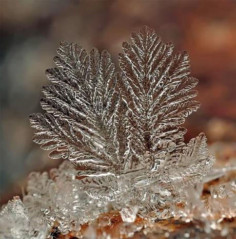 Macros de flocon de neige et de glace par Andrew Osokin - Photographie