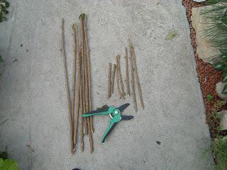 3 articles du Jardin de Pascaline pour passer un bon hiver !