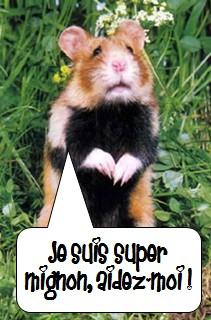 La terrible attaque du Hamster Masqué