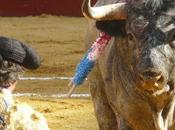 Reflexions vicoises.....