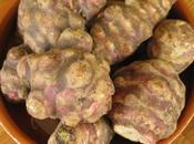 Semaine spéciale légumes oubliés topinambour