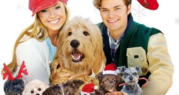 [Avis] Les 12 chiens de Noël 2 (12 Dogs of Christmas: Great Puppy Rescue)