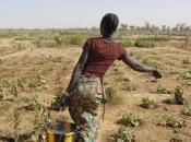 L'ONU lance portail internet pour aider l'Afrique s'adapter changement climatique