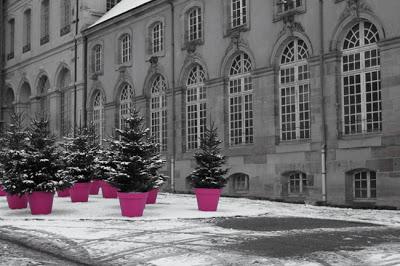 Lunéville - couleur décembre