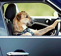 380308 305739876201758 668137135 n