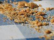 #SMIC-1 socialisme miettes poursuit cours…