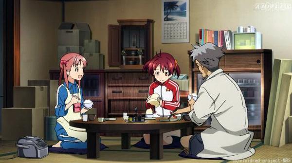 Vividred Operation
