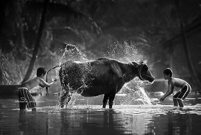 Thaïs Rak Thaïs (2)