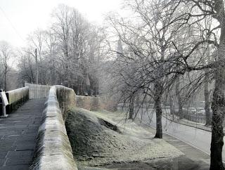 Chester et les premières traces de l'hiver