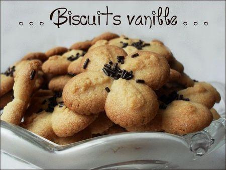 Moufida a testé les sablés vanille biscuits_presse_a_la_vanille_1