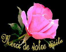 Moufida a testé les sablés vanille da62bb6f