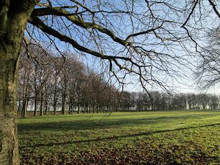La vue du 16 décembre