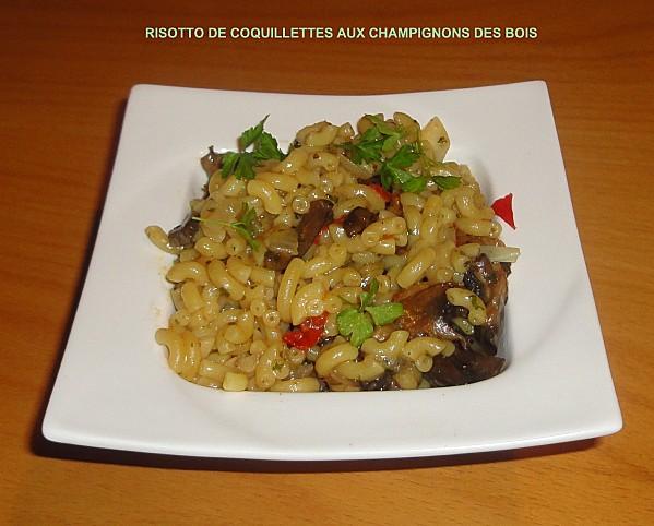 RISOTTO DE COQUILLETTES AUX CHAMPIGNONS DES BOIS