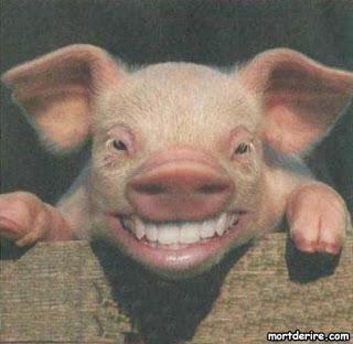 Bonus track du dimanche soir : Le Goret et la Gueuse d'à peu près Jean de la Fontaine - message personnel inside