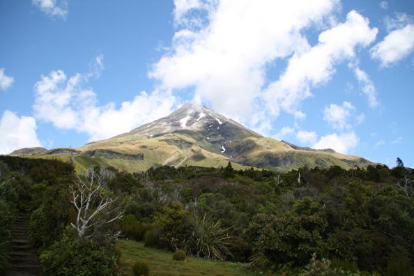 Eggmont - Nouvelle-Zélande
