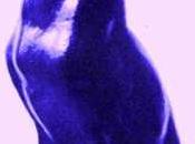 Ceux croient meilleurs