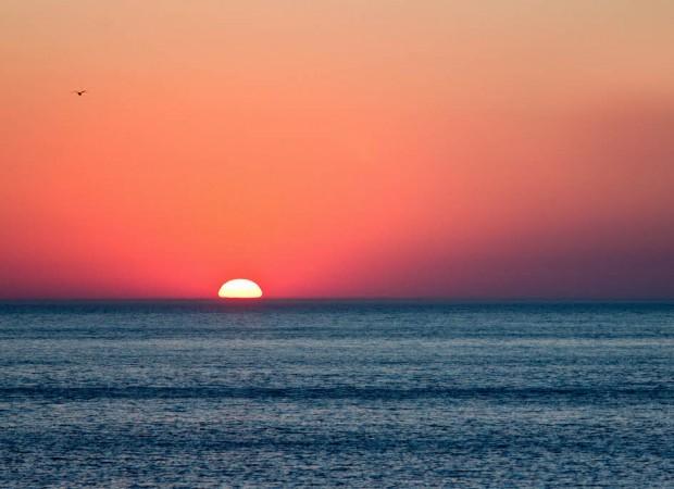 anapa_blacksea_photo_cat_collector