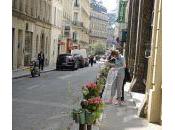 urbain Potogreen Potobos