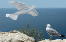Le robot oiseau SmartBird