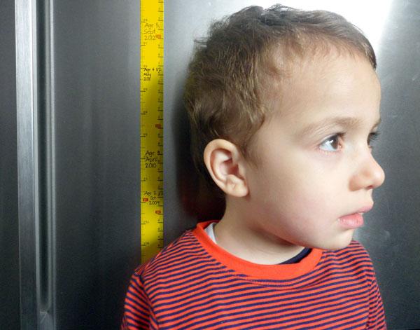 Magnet toise height chart