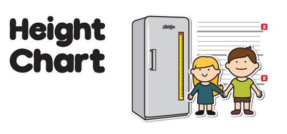 Toise magnétique Height Chart