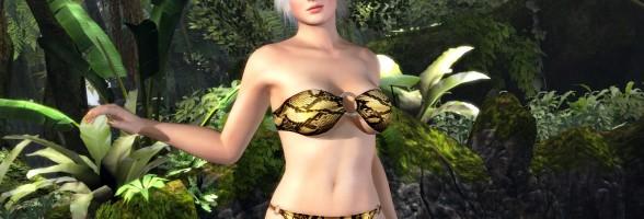 Une date européenne pour Dead or Alive 5
