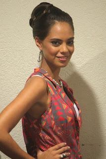 Lectures bloguesques (de la semaine 50-2012)