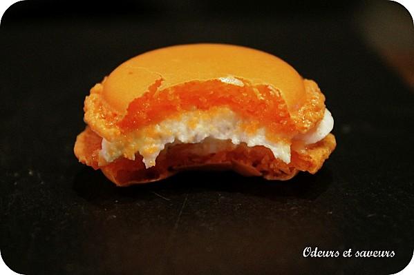 Macaron-saumon-2947.jpg