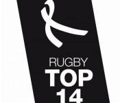 direction Nantes pour demi-finales 2013