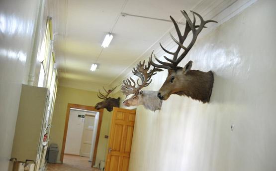 Jour 13 : Un dimanche à UB