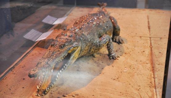 Jour 13 : Un dimanche à UB